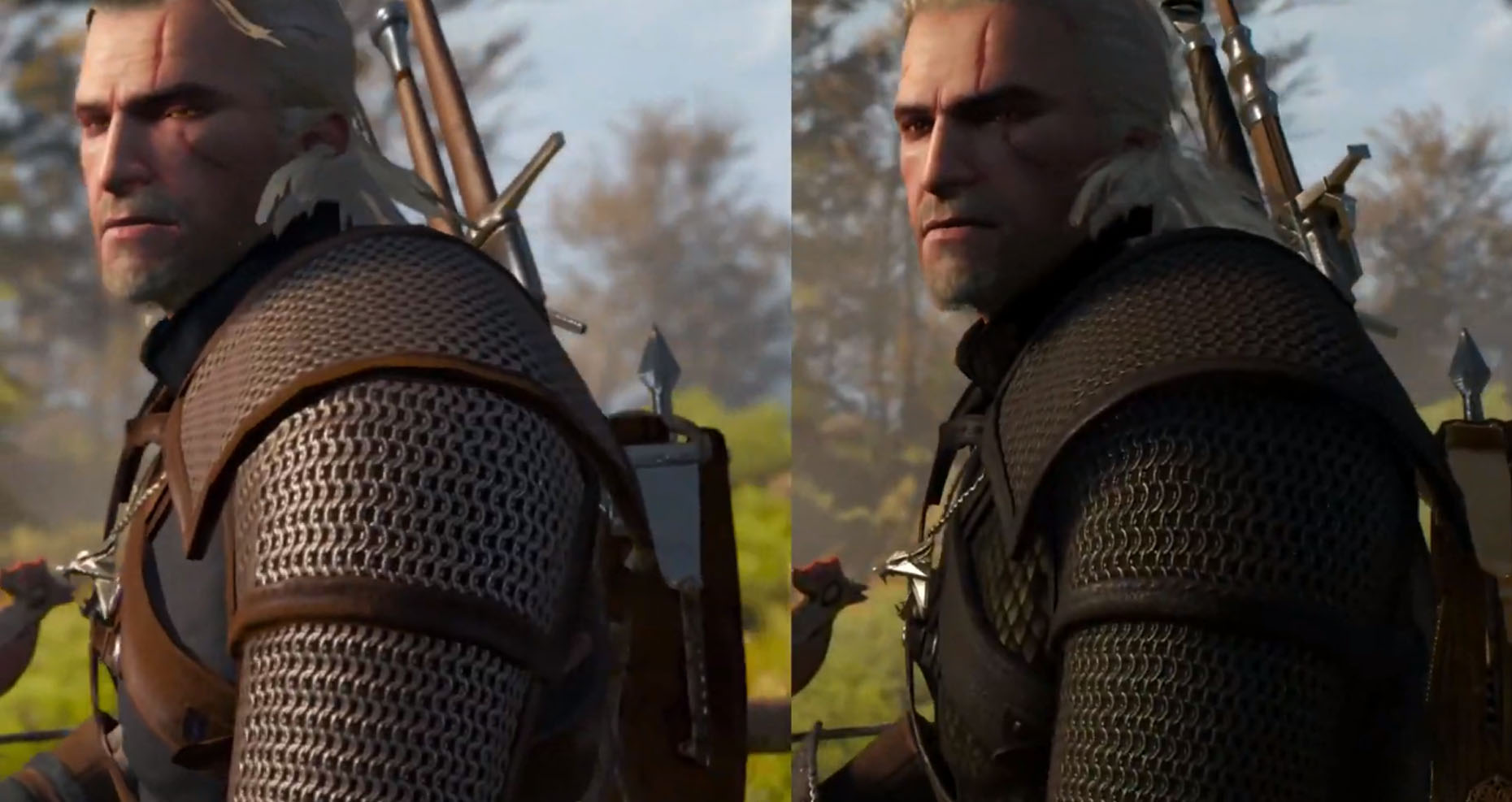 Switch the witcher 3 фото 9